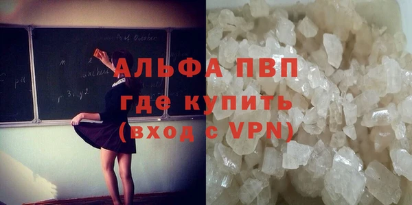 сатива Сосновоборск