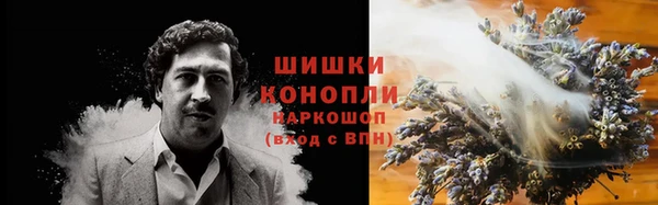 прущий лед Дмитриев