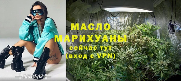 прущий лед Дмитриев