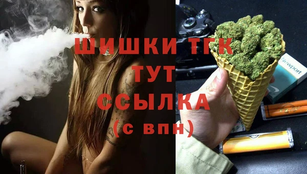 прущий лед Дмитриев
