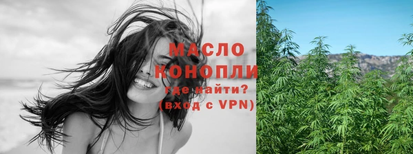 прущий лед Дмитриев