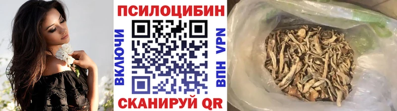 Галлюциногенные грибы прущие грибы блэк спрут вход Гороховец даркнет сайт